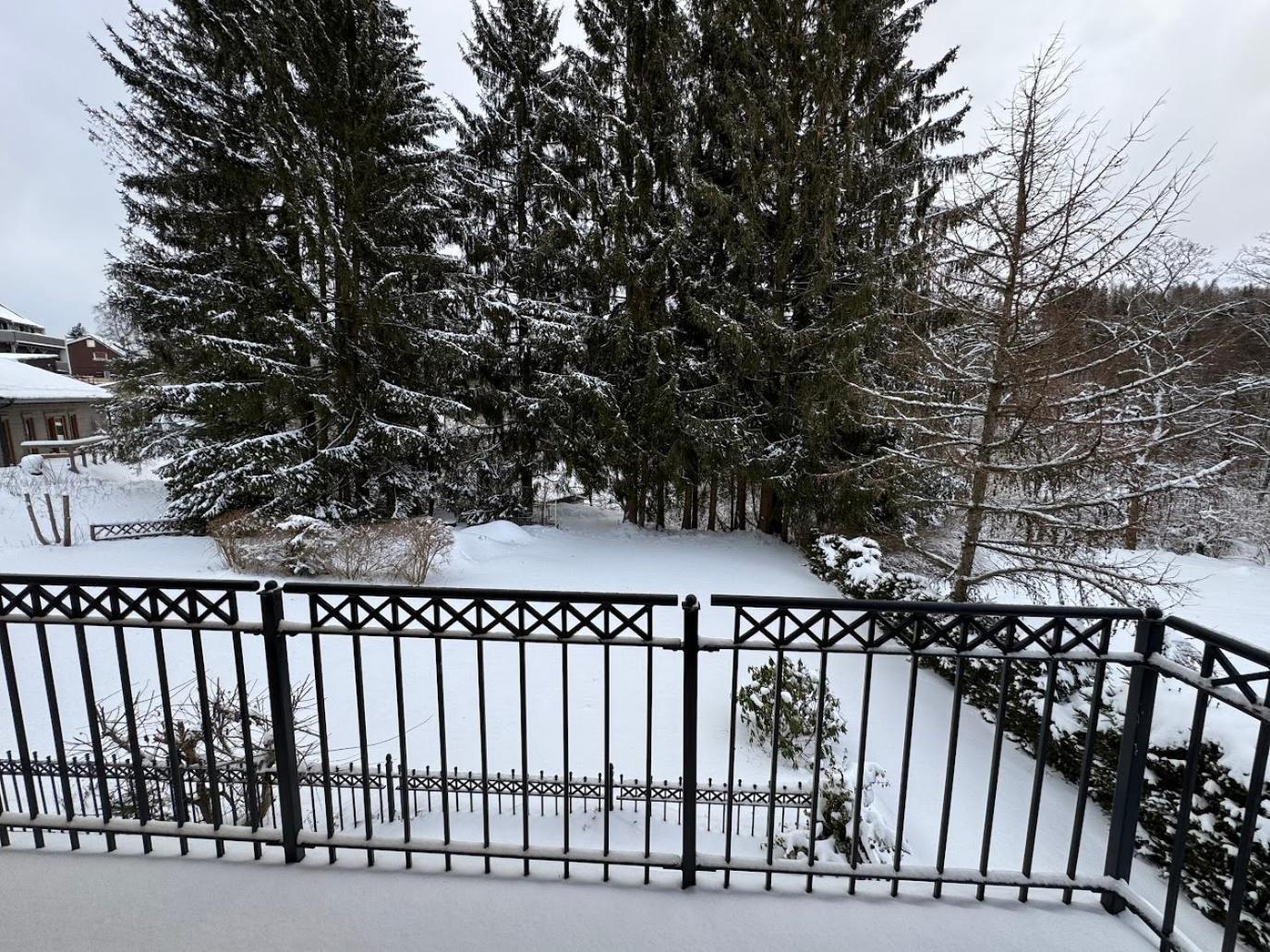 Harzidyll Hotel 3*